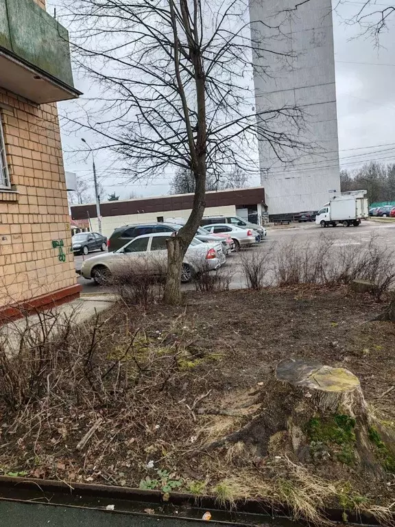 1-к кв. Московская область, Видное Центральная ул., 12А (30.4 м) - Фото 2