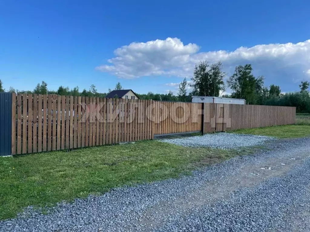 Участок в Новосибирская область, Новосибирский район, Кубовинский ... - Фото 0