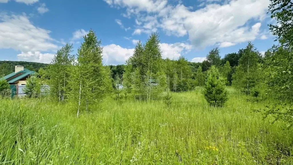 Участок в Мордовия, Кочкуровский район, с. Мурань  (17.1 сот.) - Фото 1