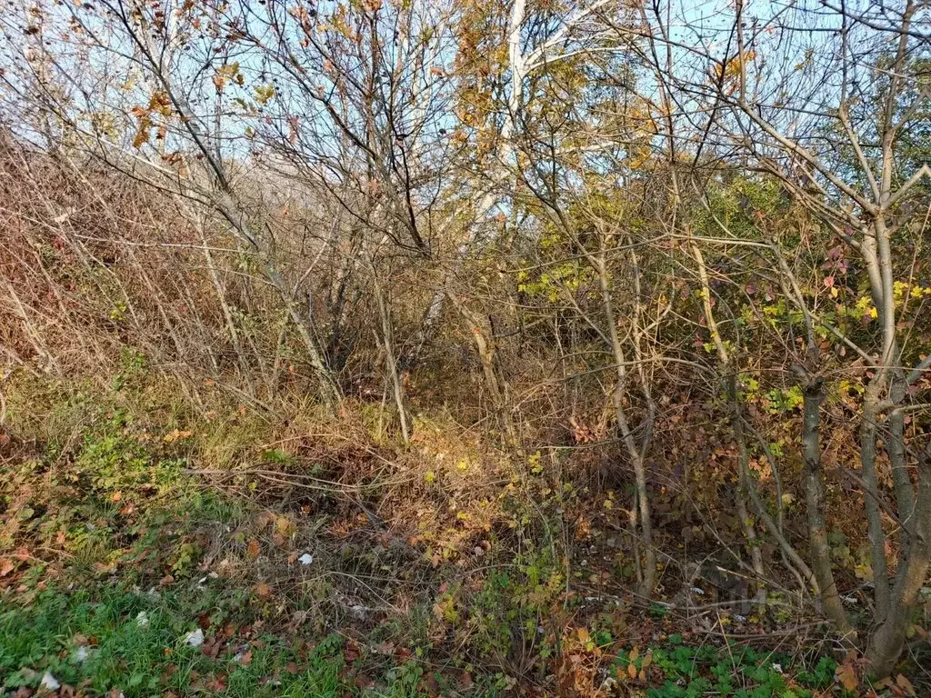 Участок в Краснодарский край, Северское с/пос, Платан СНТ ул. Еловая ... - Фото 1