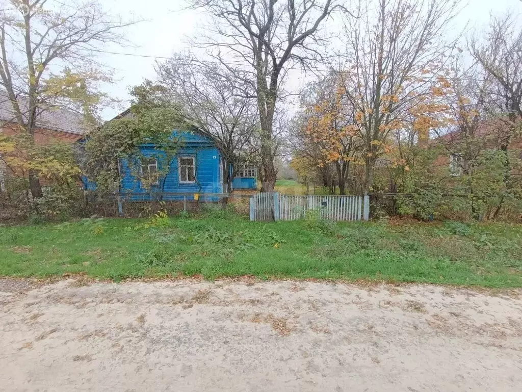 Участок в Елизаветовка, Комсомольский переулок (23 м) - Фото 2