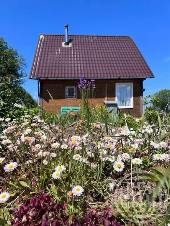 Дом в Ленинградская область, Лужский район, Заклинское с/пос, д. ... - Фото 1
