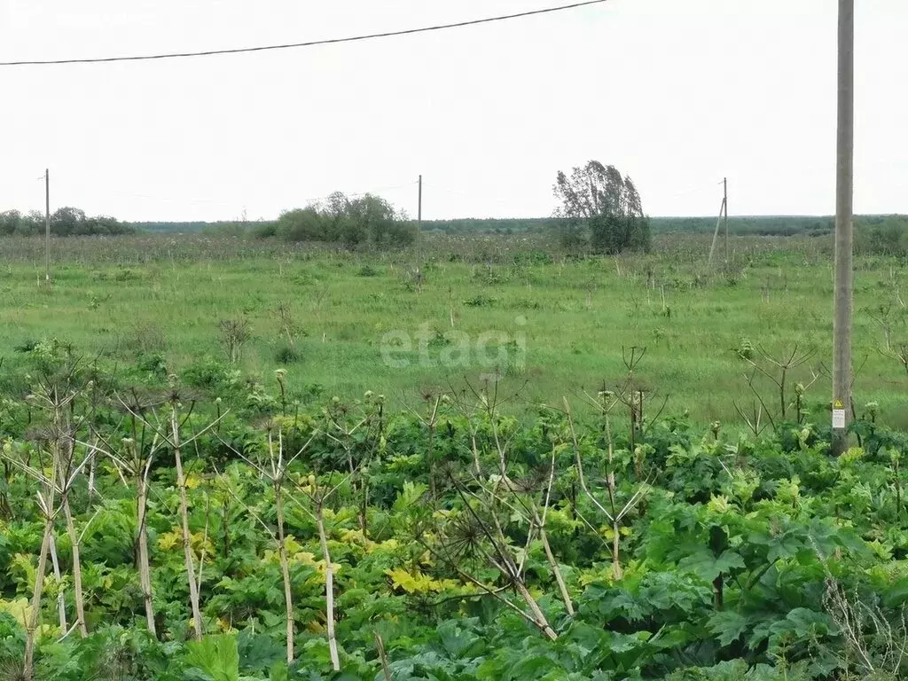 участок в республика коми, муниципальный район сыктывдинский, . - Фото 0