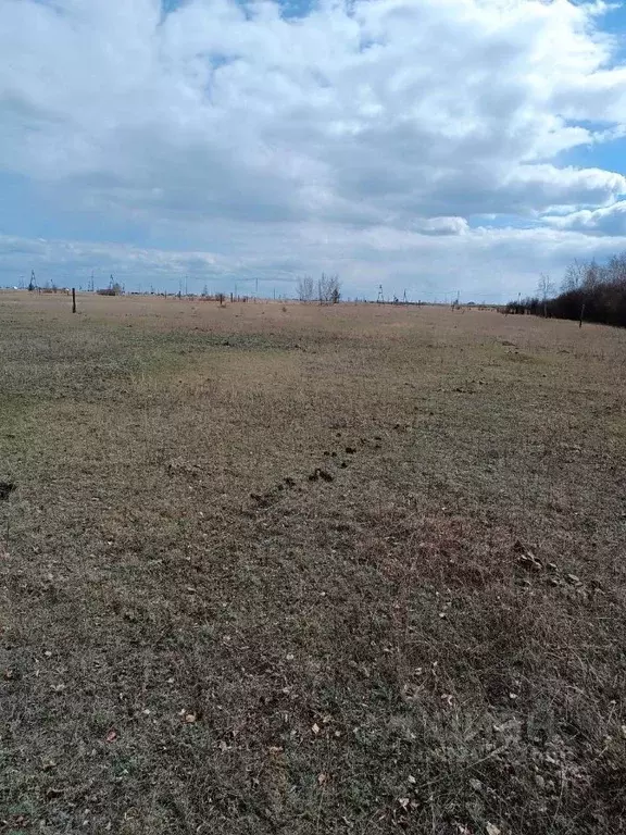 Участок в Саха (Якутия), Якутск городской округ, с. Тулагино  (10.52 ... - Фото 2