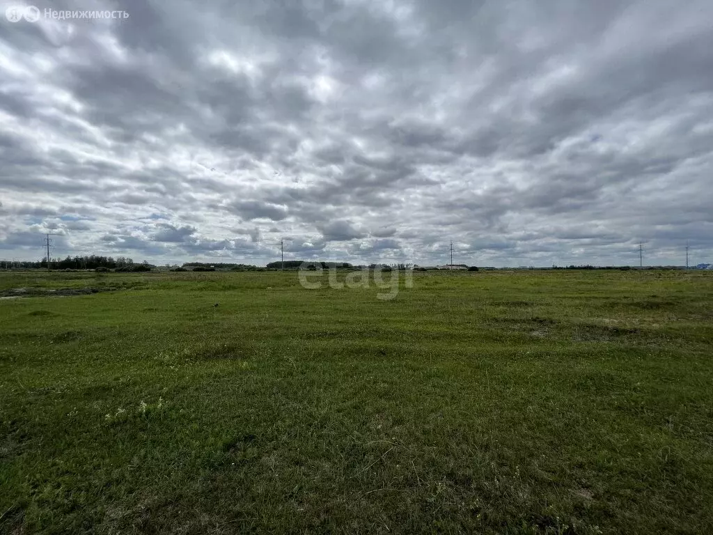 Участок в Криводановский сельсовет (9.2 м) - Фото 1