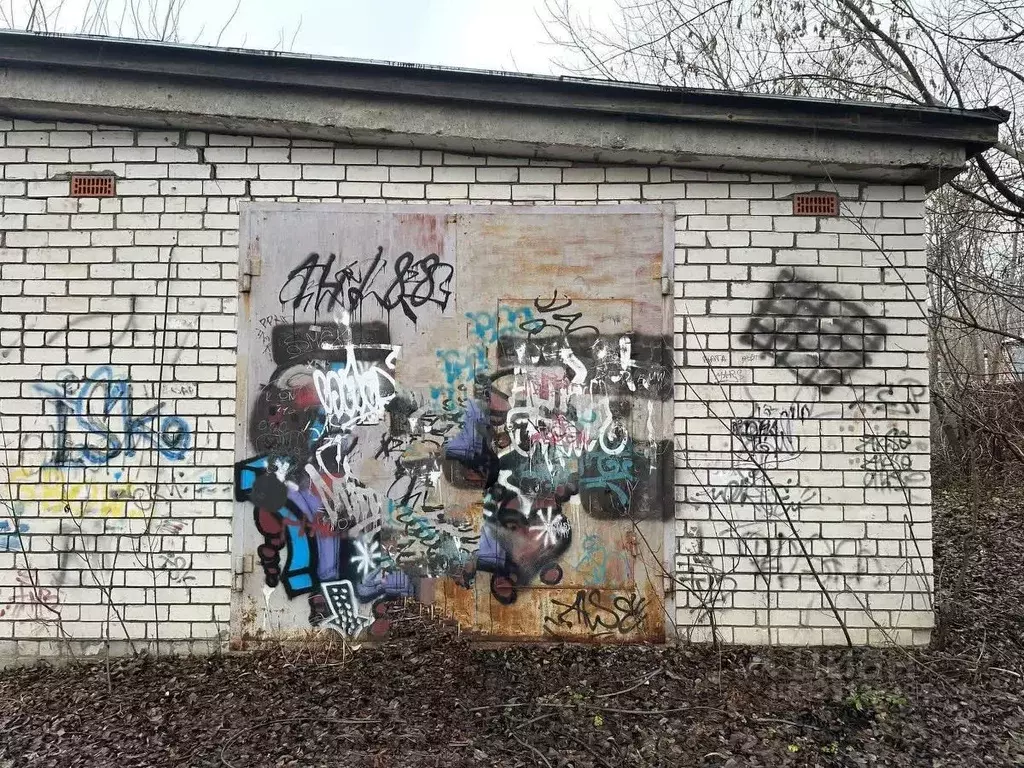 Гараж в Владимирская область, Петушки ул. Чехова, 5 (48 м) - Фото 2