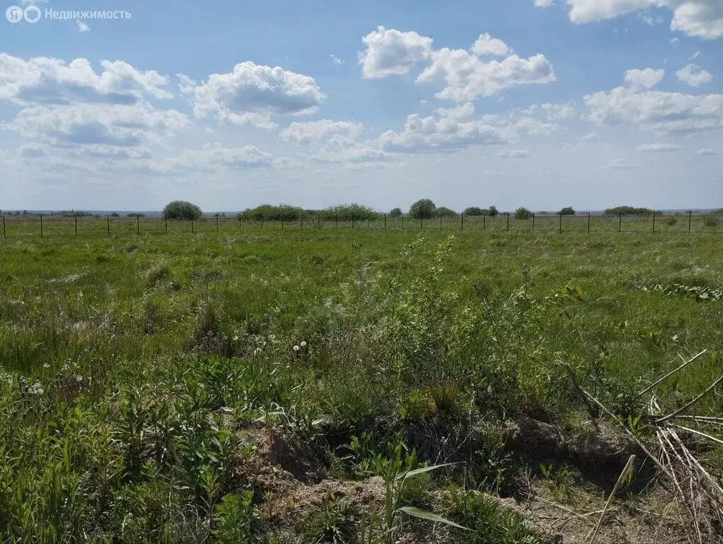 Участок в Ярославская область, Ростовский муниципальный округ, село ... - Фото 0