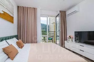 1-к кв. Краснодарский край, Сочи ул. Искры, 88к3 (27.0 м) - Фото 1