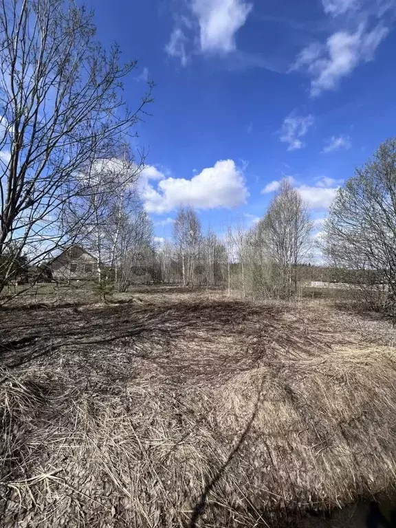 Участок в Тверская область, Калининский муниципальный округ, д. ... - Фото 1
