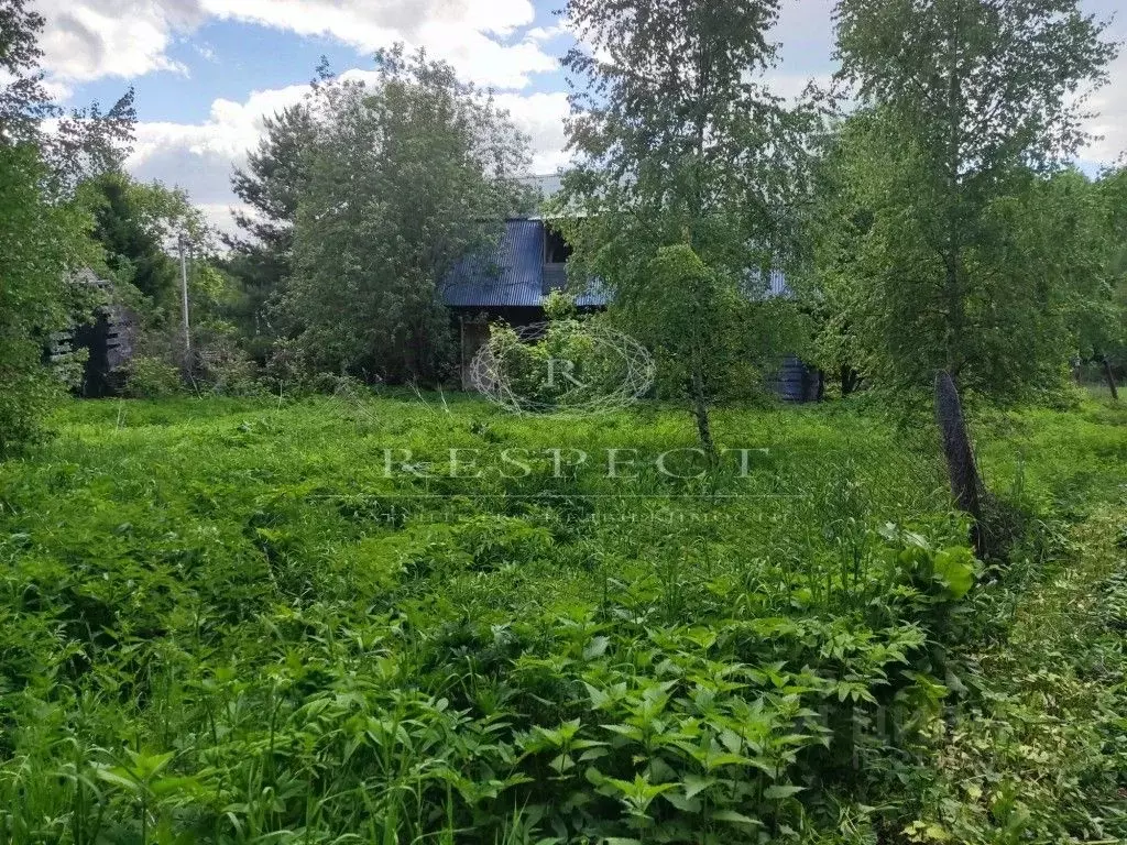 Участок в Москва Роговское поселение, д. Горнево, (6.0 сот.), Купить  земельный участок в Москве, ID объекта - 20005368338