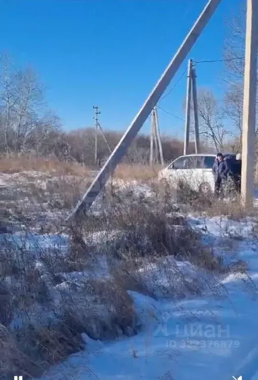 Участок в Амурская область, Благовещенский район, с. Усть-Ивановка ул. ... - Фото 2