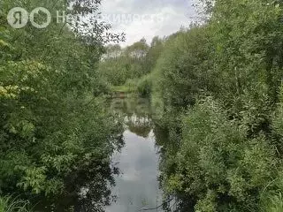 Участок в Ярославский муниципальный округ, СНТ Берёзка-3 (10 м) - Фото 1