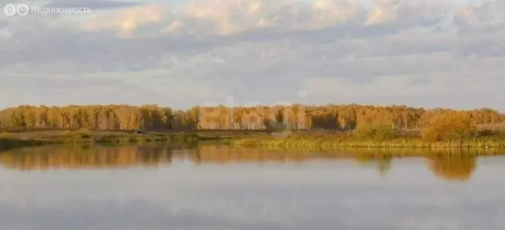 Участок в Челябинская область, Чебаркульский муниципальный округ, ... - Фото 2