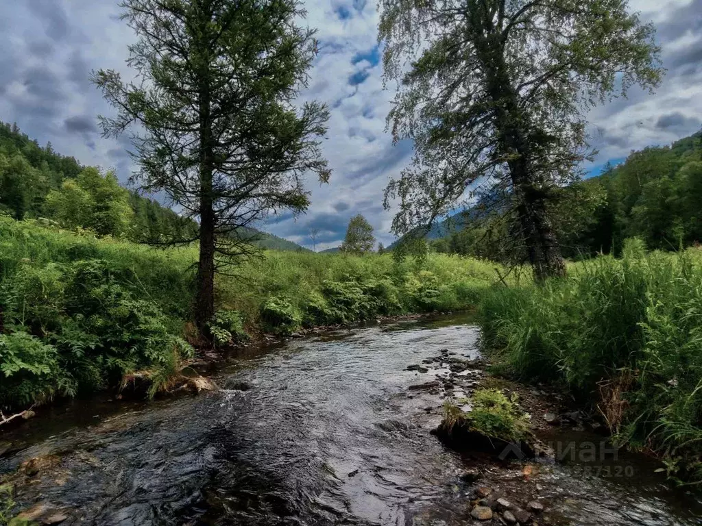 Участок в Алтай, Майминский район, с. Урлу-Аспак  (11.4 сот.) - Фото 1