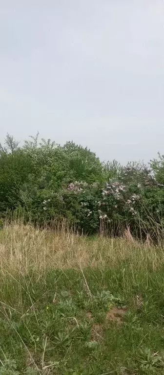 Участок 11 сот. (СНТ, ДНП) - Фото 0
