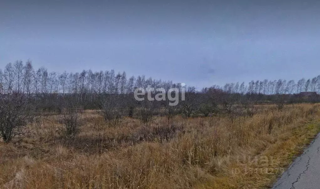 Участок в Белгородская область, Белгородский район, Новосадовское ... - Фото 0