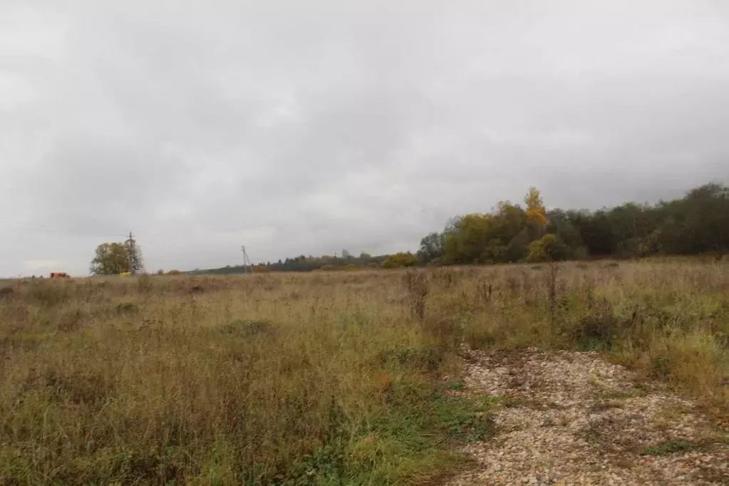 Участок в Московская область, Шаховская муниципальный округ, д. ... - Фото 1