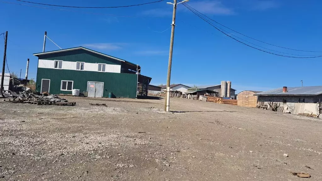Помещение свободного назначения в Свердловская область, Белоярский ... - Фото 0