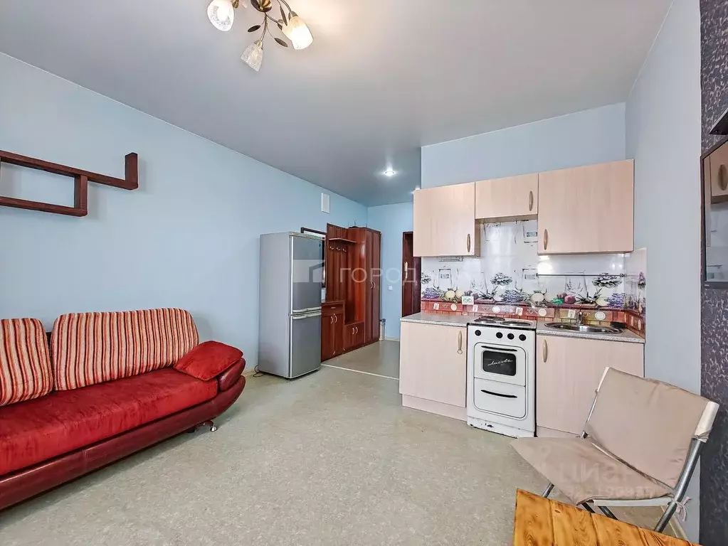 Студия Новосибирская область, Новосибирский район, Каменский ... - Фото 1