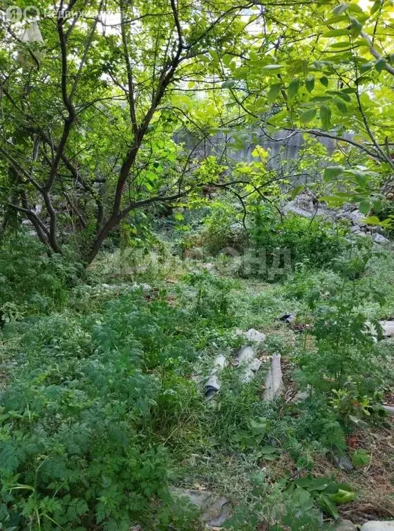 Участок в Севастополь, Киевская улица (3.42 м) - Фото 2