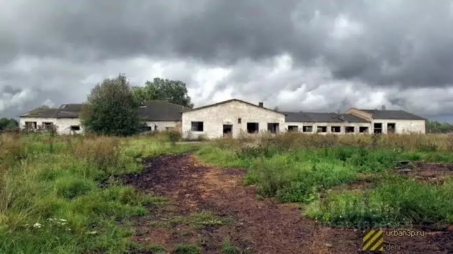 Склад в Курганская область, Белозерский муниципальный округ, д. ... - Фото 2