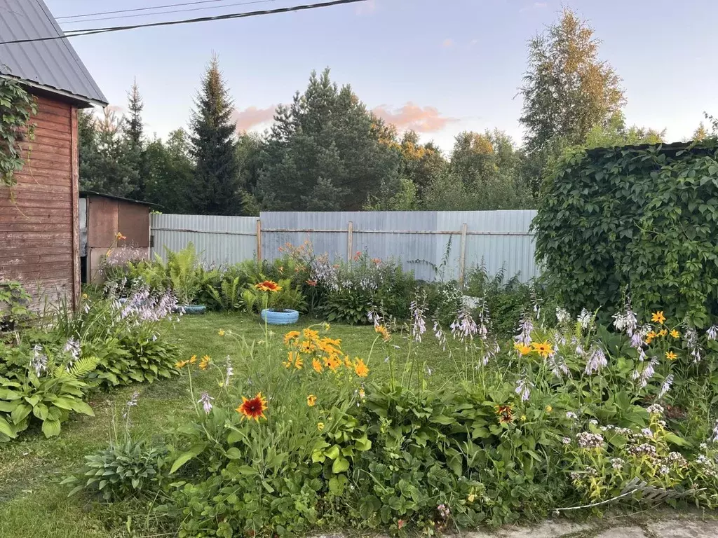 Дом в Московская область, Солнечногорск городской округ, Лесное ... - Фото 2