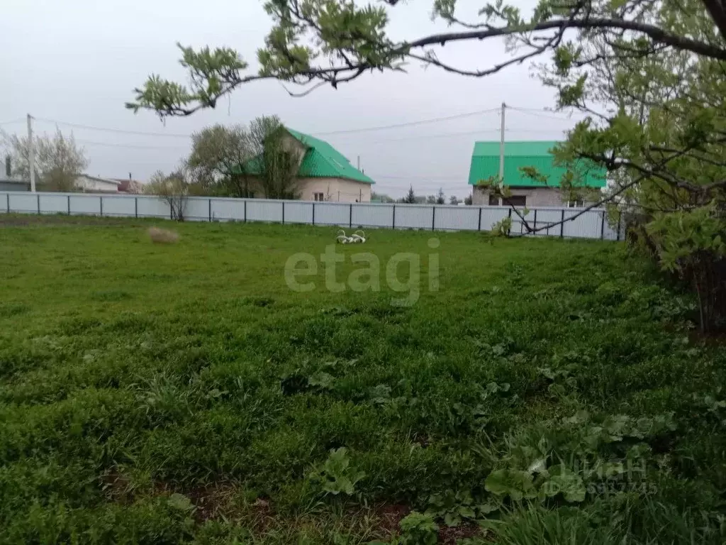 Участок в Тюменская область, Тюменский муниципальный округ, с. Успенка ... - Фото 1