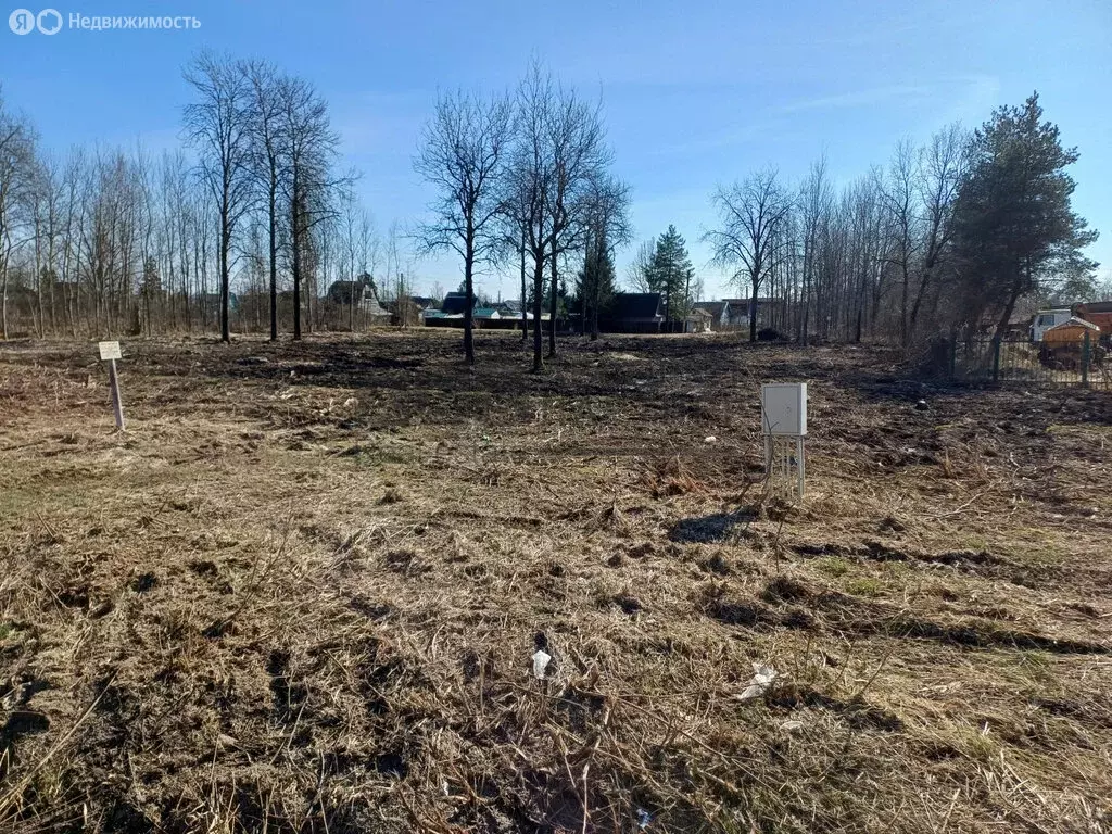 Участок в Новгородский район, Ермолинское сельское поселение, деревня ... - Фото 2