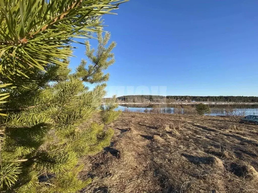 Участок в Вологодская область, Сокольский муниципальный округ, с. ... - Фото 1