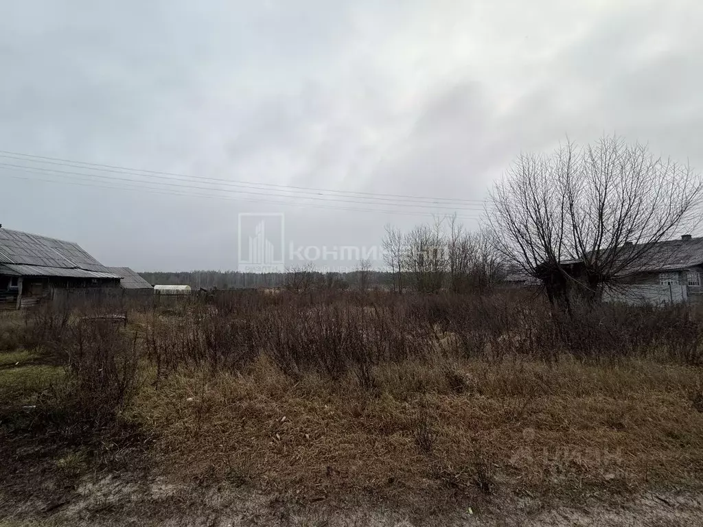 Участок в Владимирская область, Гусь-Хрустальный муниципальный округ, ... - Фото 1