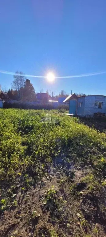 Участок в Ханты-Мансийский АО, Ханты-Мансийск Геофизик СОТ, 10 (6.0 ... - Фото 2