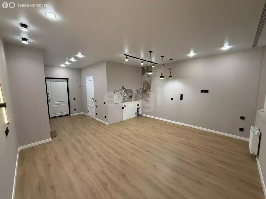 Квартира-студия: Краснодар, Колхозная улица, 5 (24.1 м) - Фото 1