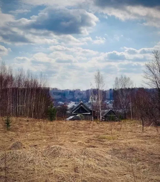 Участок в Костромская область, Красносельский район, Прискоковское ... - Фото 1