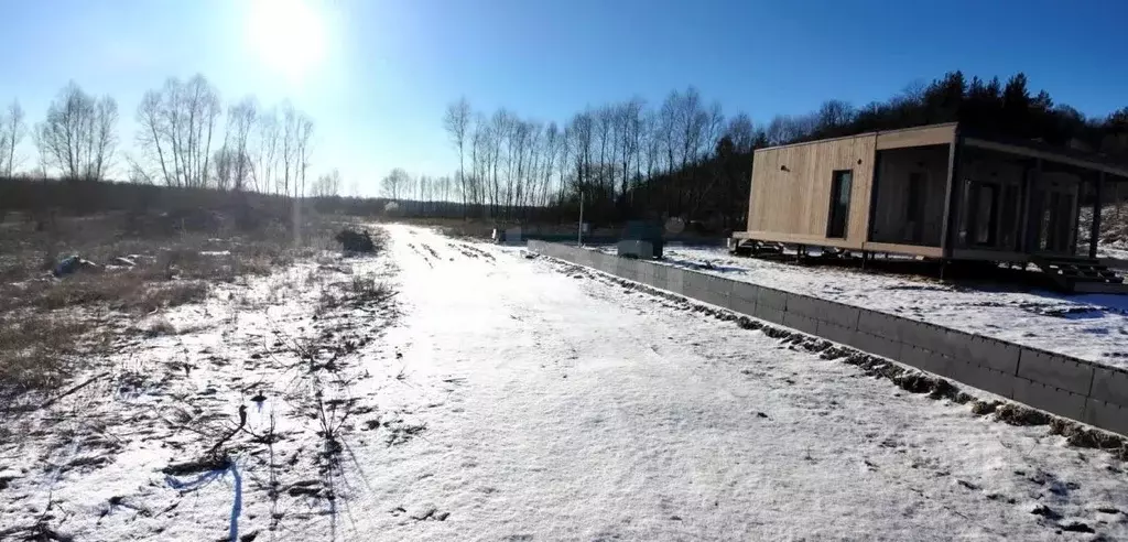 Участок в Воронежская область, Рамонский район, Березовское с/пос, д. ... - Фото 1