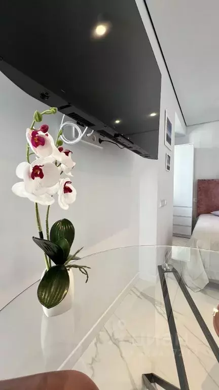 Студия Краснодарский край, Сочи Курортный просп., 96Гк1 (28.0 м) - Фото 1