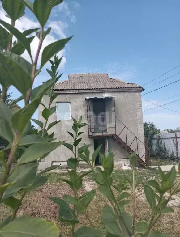 Дом в Крым, Черноморское пгт, Тарханкут СНТ ул. 5-я, 18 (68 м) - Фото 1