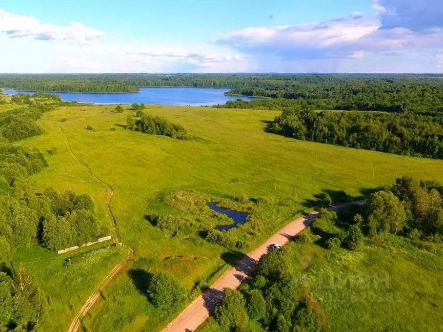 Участок в Калининградская область, Славский муниципальный округ, пос. ... - Фото 2