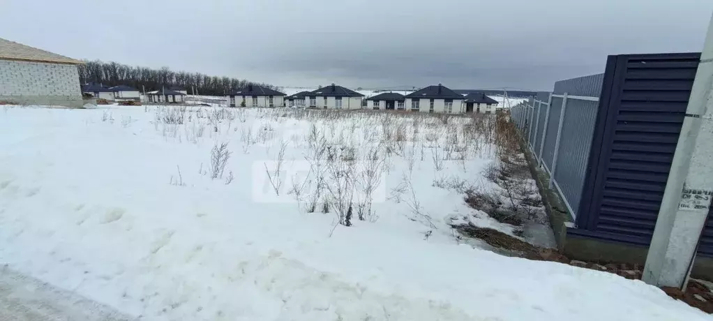 Участок в Воронежская область, Хохольский район, с. Новогремяченское ... - Фото 1