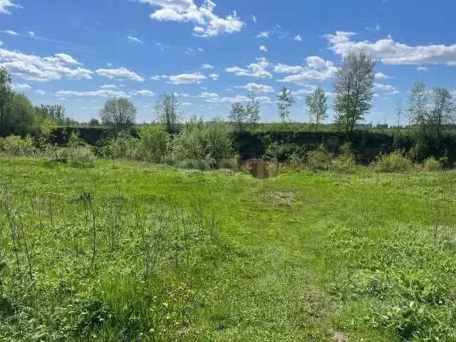 Участок в Владимирская область, Ковровский район, Клязьминское с/пос, ... - Фото 2