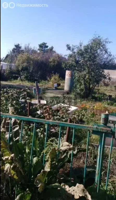 Дом в Курган, СНТ Кедр (10 м) - Фото 2