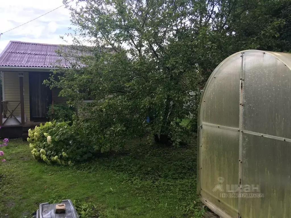 Участок в Ленинградская область, Гатчинский муниципальный округ, Ухта ... - Фото 2