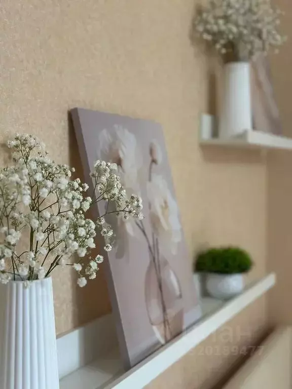 Студия Нижегородская область, Нижний Новгород просп. Гагарина, 101к5 ... - Фото 2