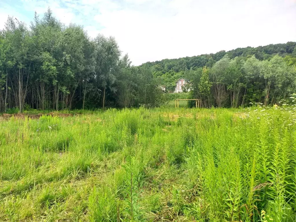 Участок в Нижегородская область, Нижний Новгород Подновье сл., 276 ... - Фото 2