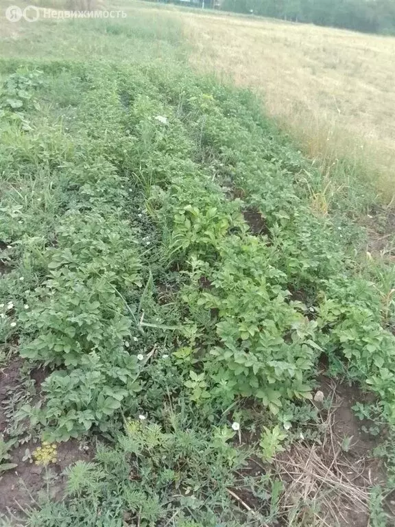 Дом в Васильево-Ханжоновское сельское поселение, хутор ... - Фото 0