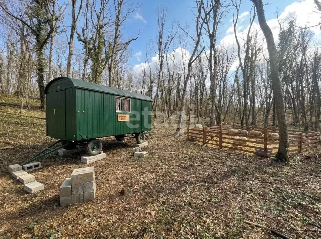 Участок в Краснодарский край, Геленджик городской округ, с. ... - Фото 2