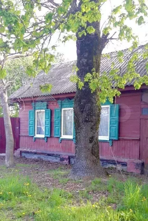 Дом 40,2 м на участке 18 сот. - Фото 0