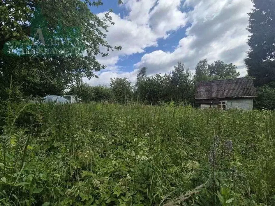 Дом в Смоленская область, Смоленск ул. Чернышевского (18 м) - Фото 2