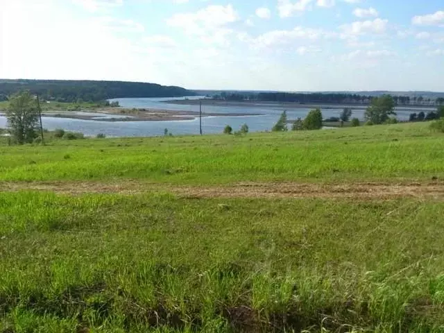 Участок в Пермский край, Ильинский городской округ, д. Соколова  (10.0 ... - Фото 1