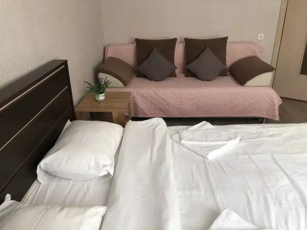 1-к кв. Красноярский край, Красноярск ул. Партизана Железняка, 57 ... - Фото 2