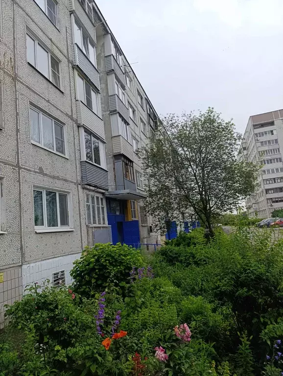 Продаётся 1-к квартира, 33.3 м - Фото 0